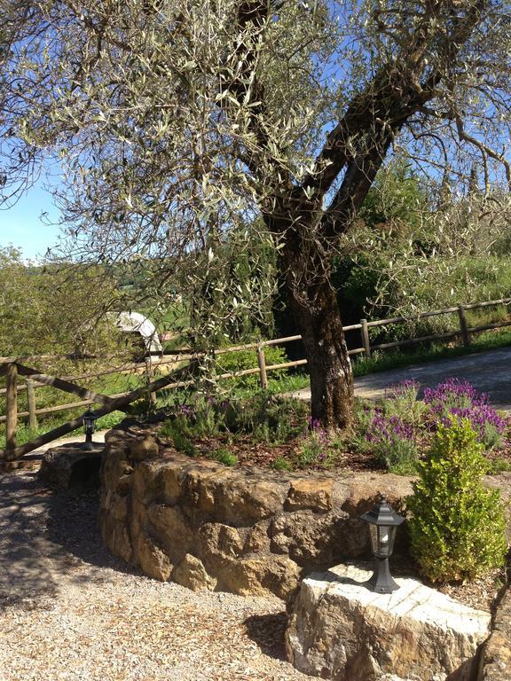Podere Poggio Benedetto Saturnia Ruang foto