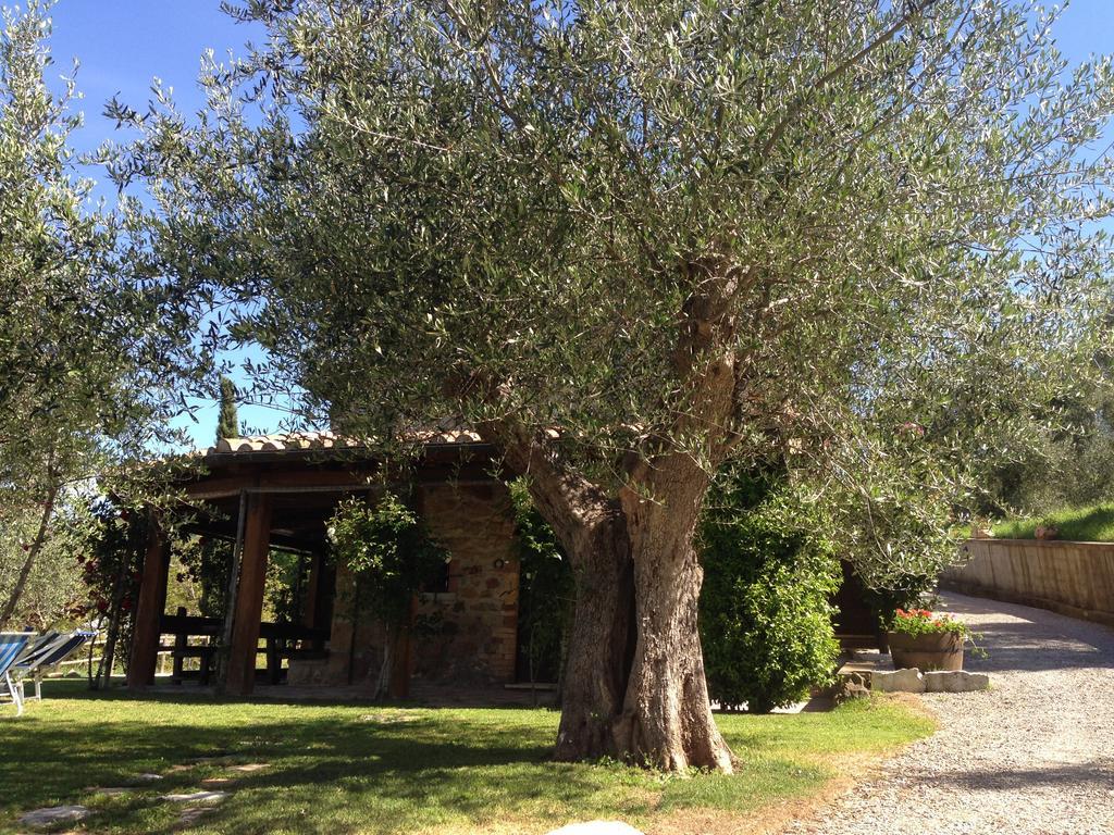 Podere Poggio Benedetto Saturnia Ruang foto